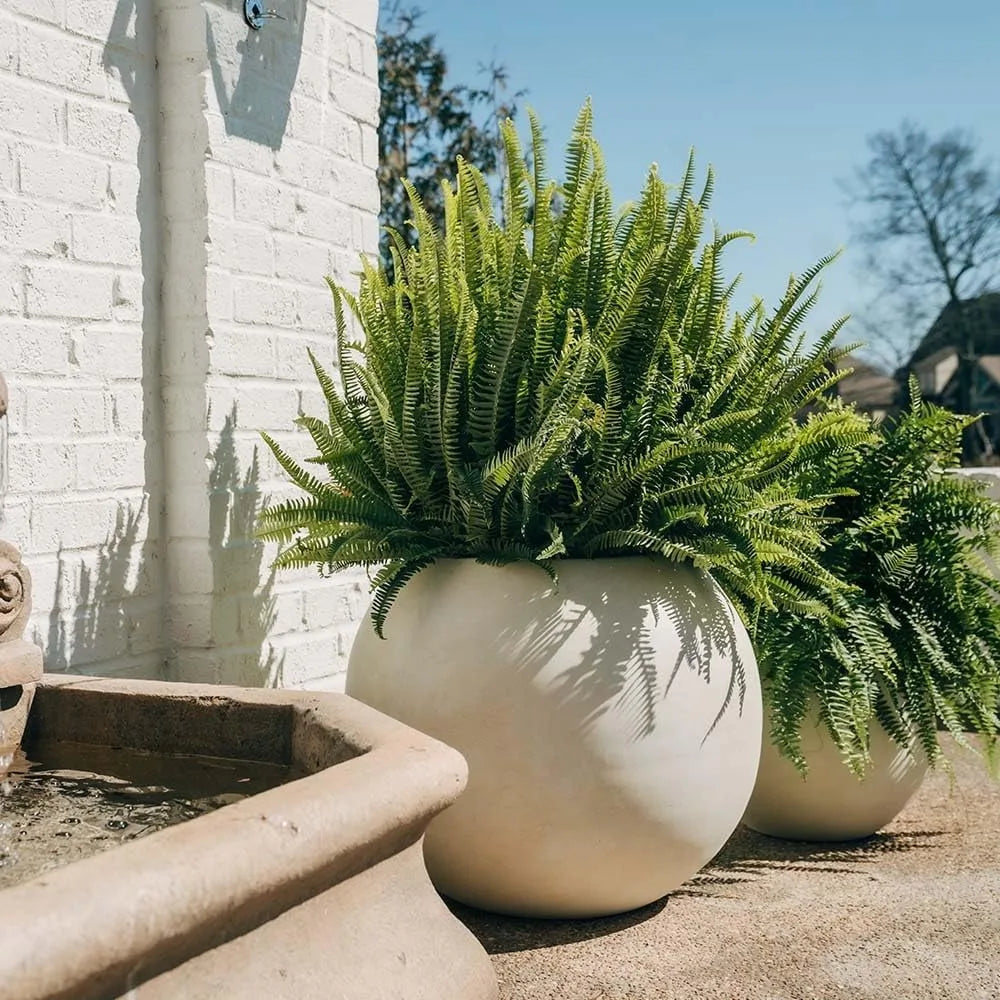 S8d94d5d9559b44e6b156b7881e272336C