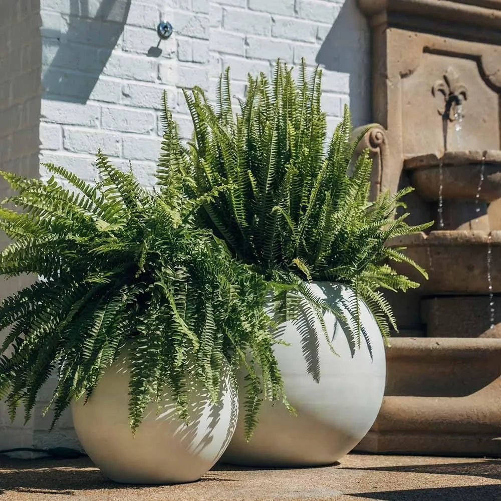 Sf0a696f15a204796951a2b86869712fay